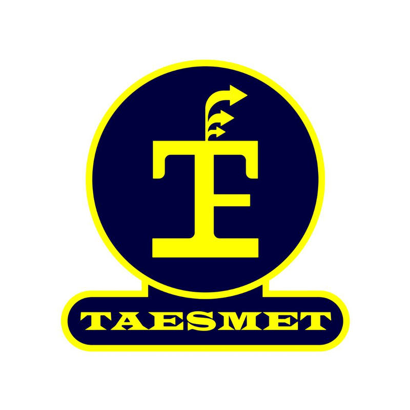 WE-LOGO-TAESMET